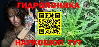 стаф Нарткала
